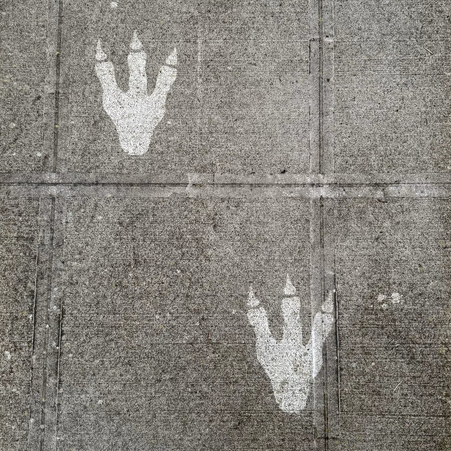 Dinosaur Foot Print PopOut Stencil (2 Pack)