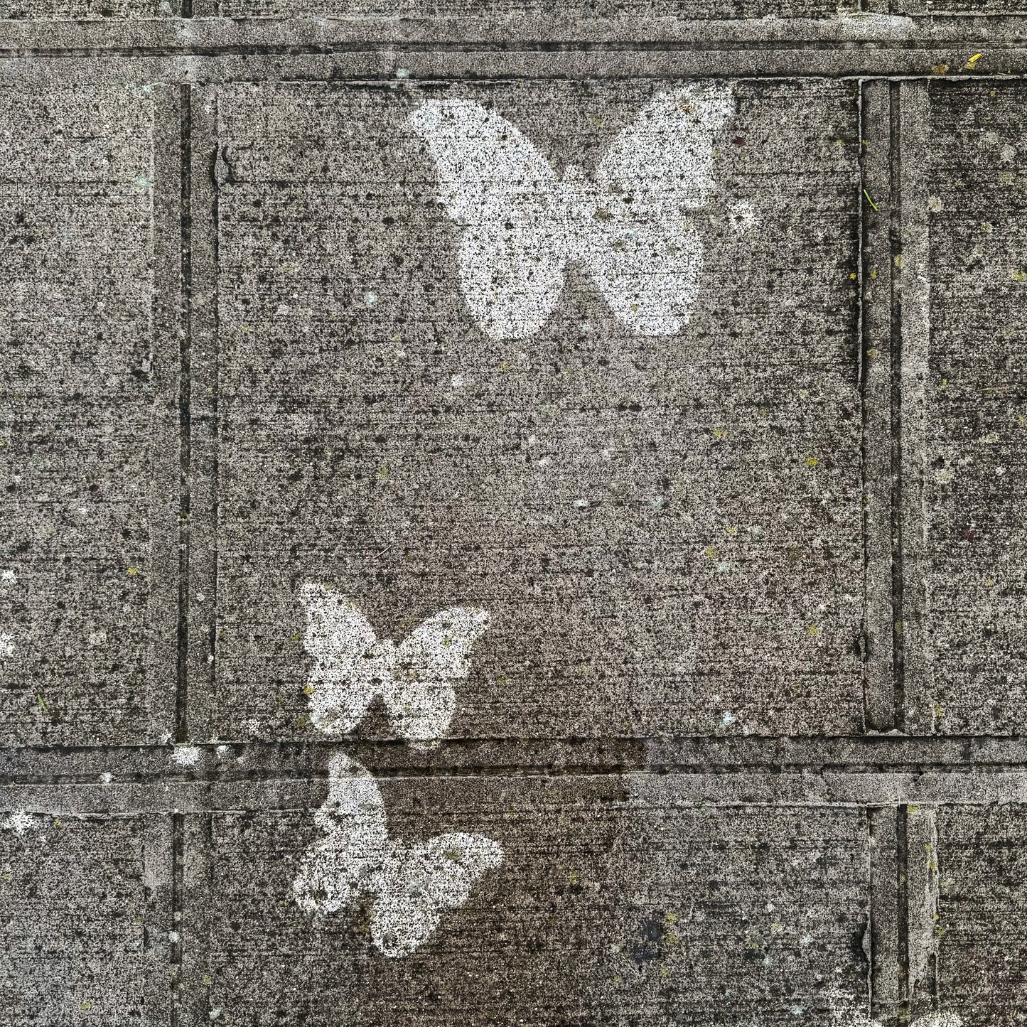 Butterfly PopOut Stencils (3 Pack)