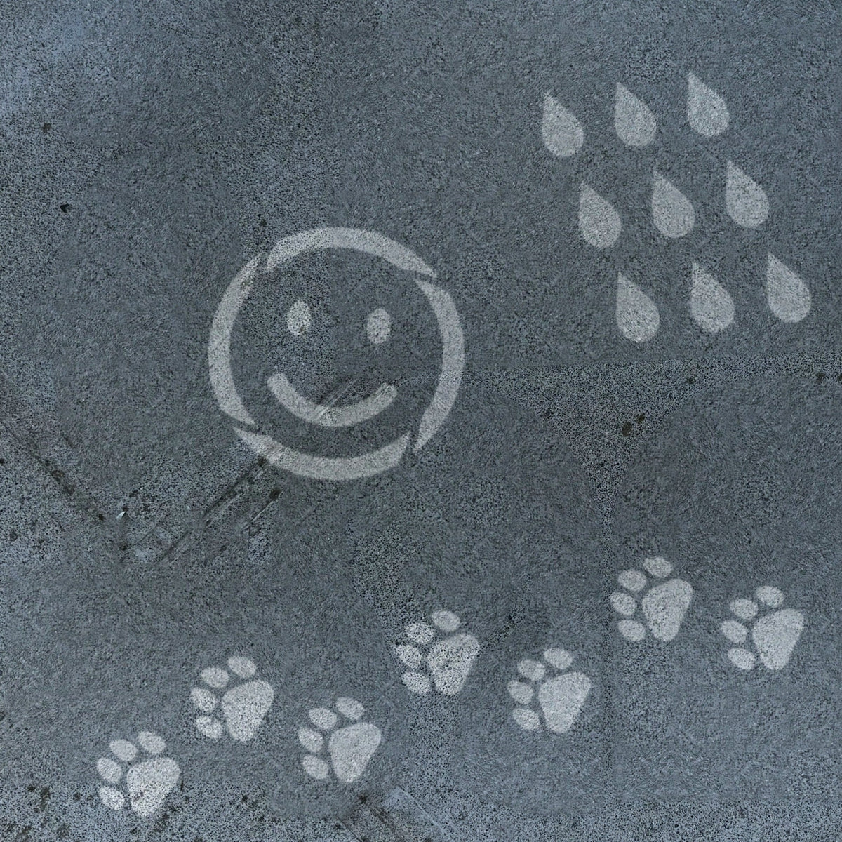 Smiley face, raindrops and a paw print trail appearing on a wet sidewalk