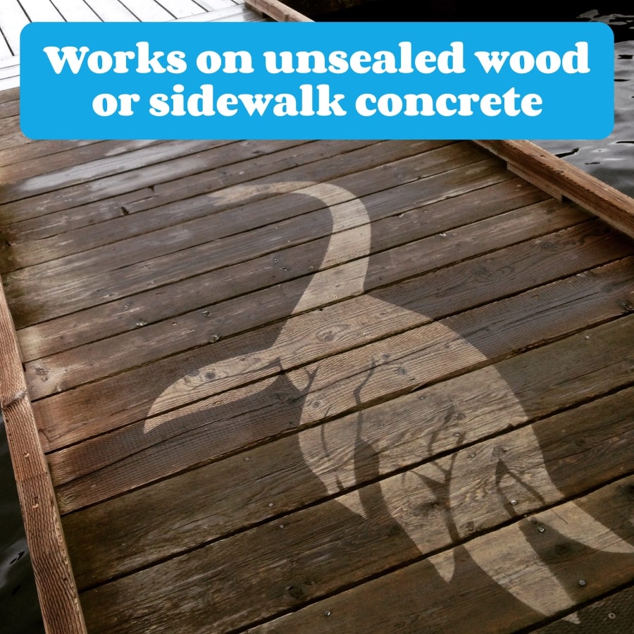 Works on concrete and unsealed wood